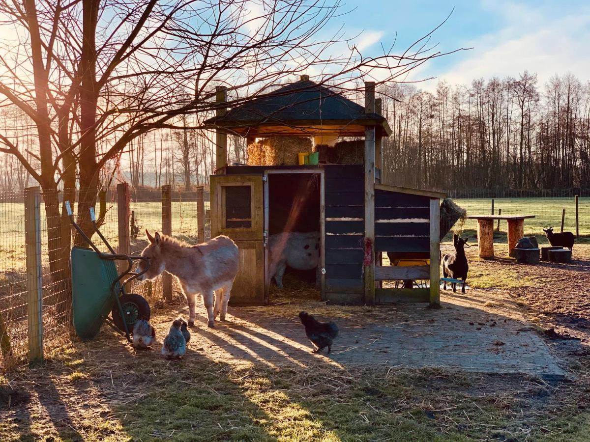 Camping Vossenberg - Op De Veluwe! Epe Exteriér fotografie